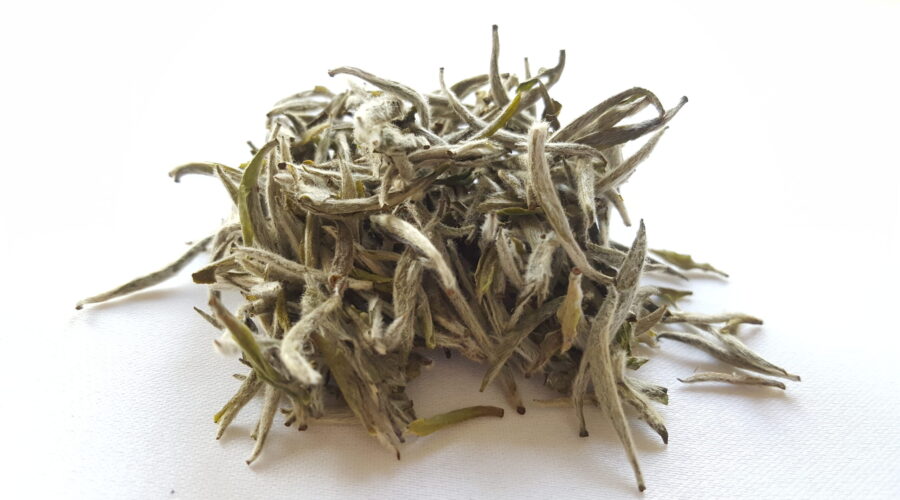 A Primer on White Tea