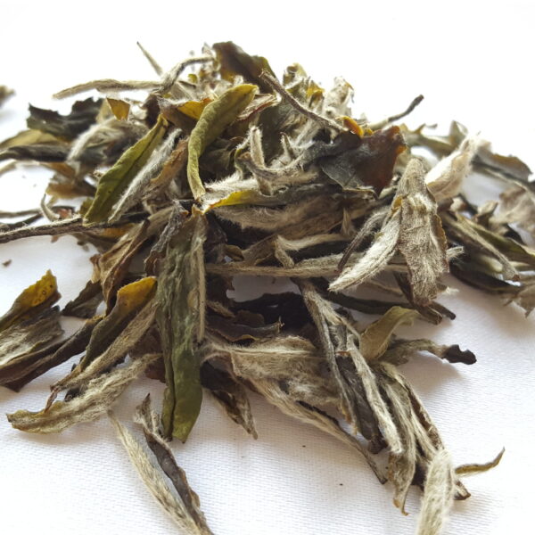 2025 Organic Bai Mu Dan (30g)