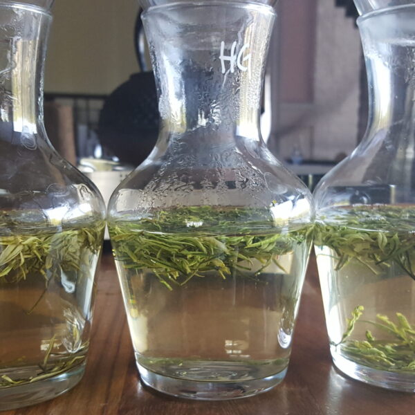Glass Carafe