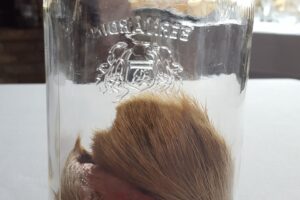 Tasting Notes and their Relevance