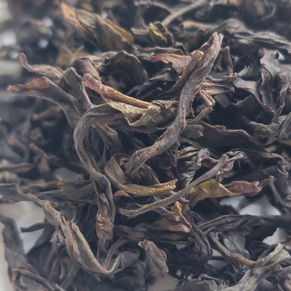 Oolong Tea