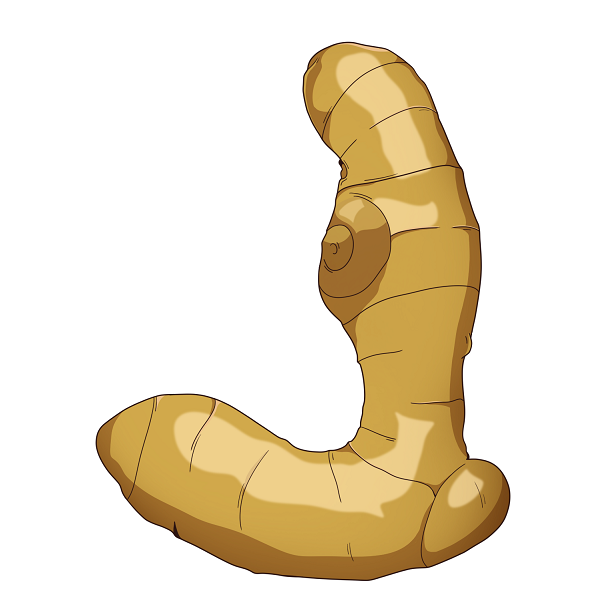 Ginger 'Shoganai' 50g